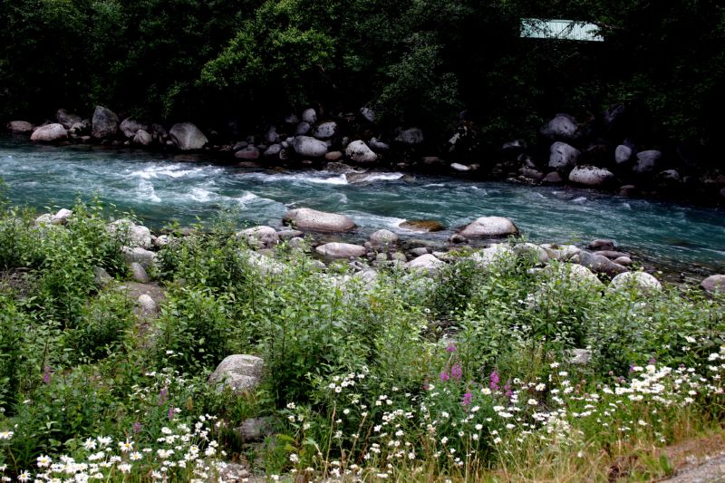 070404 Hope Hatcher Montana Creek (10119)
